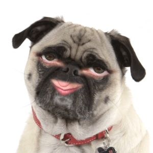 Meet your Posher, Bryanne